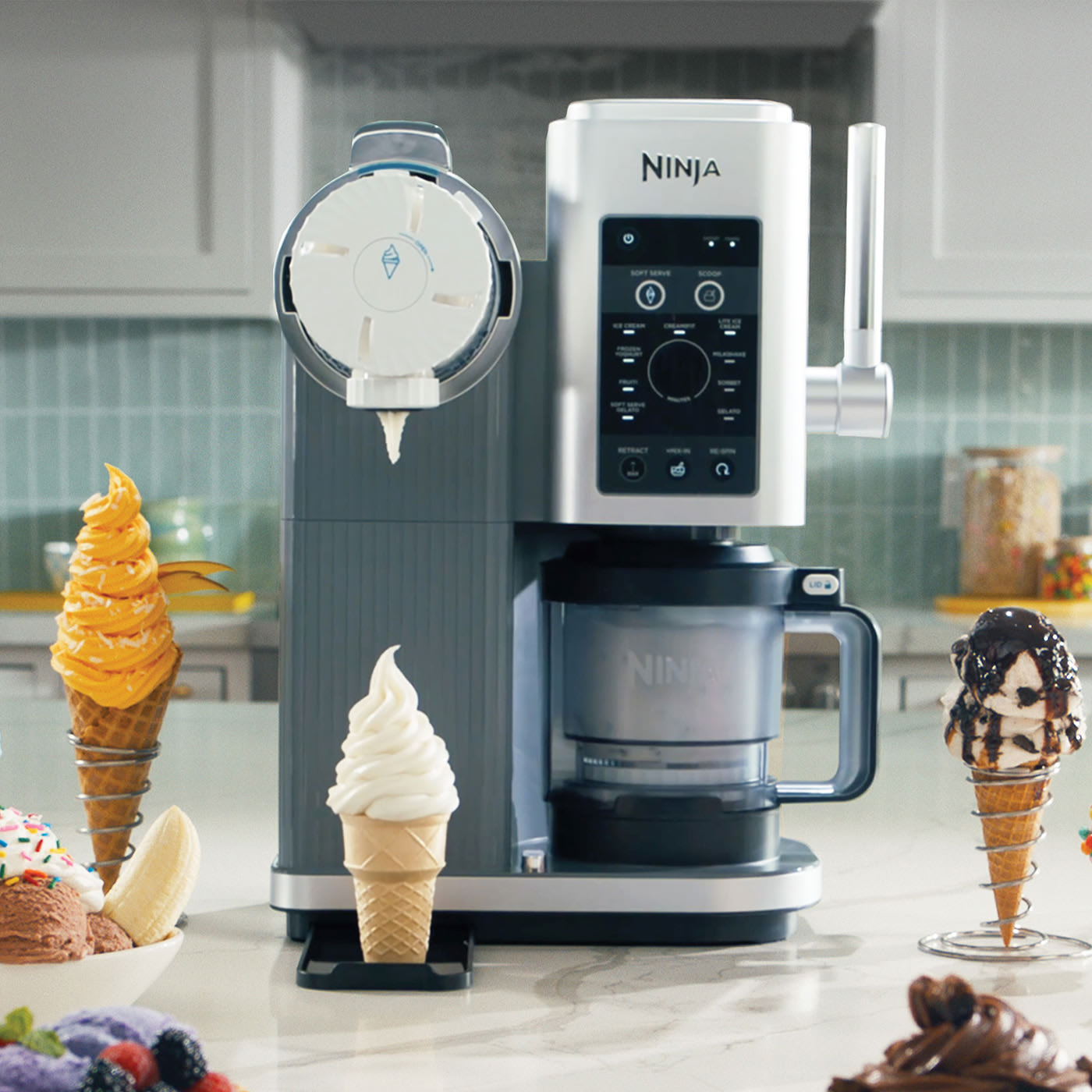 Explore 13 frozen treat programs